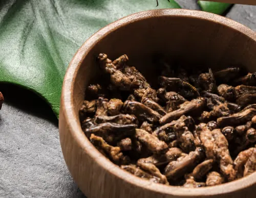HaloGrow He Shou Wu botanical for hair and scalp care